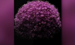 Meizu MX5 : Desain Tak Terbatas dan Kamera 41 MP !?