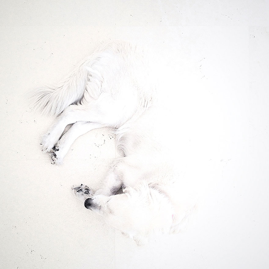 ippawards-iphone-ipad-photography-awards-2014-1g