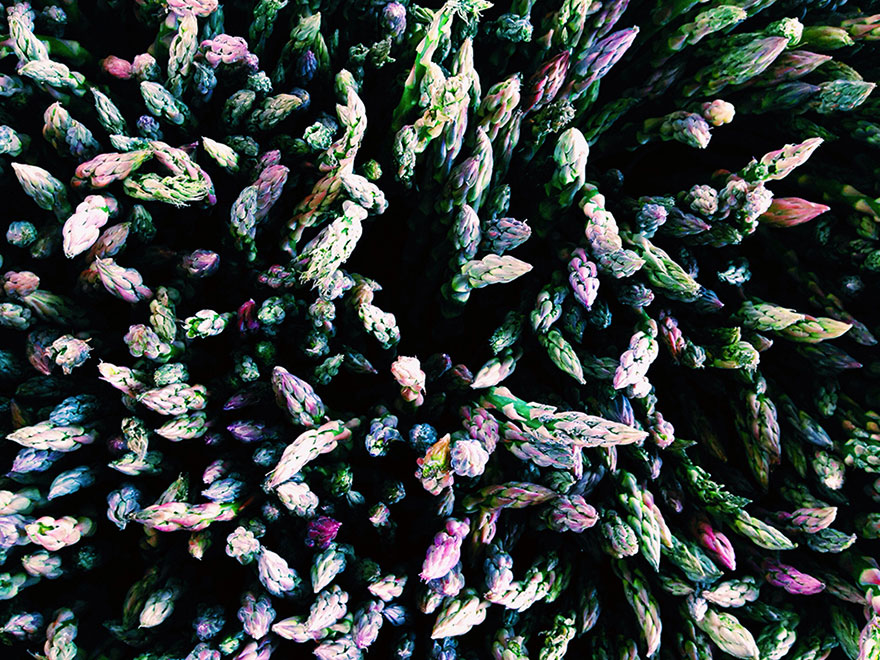 ippawards-iphone-ipad-photography-awards-2014-1o