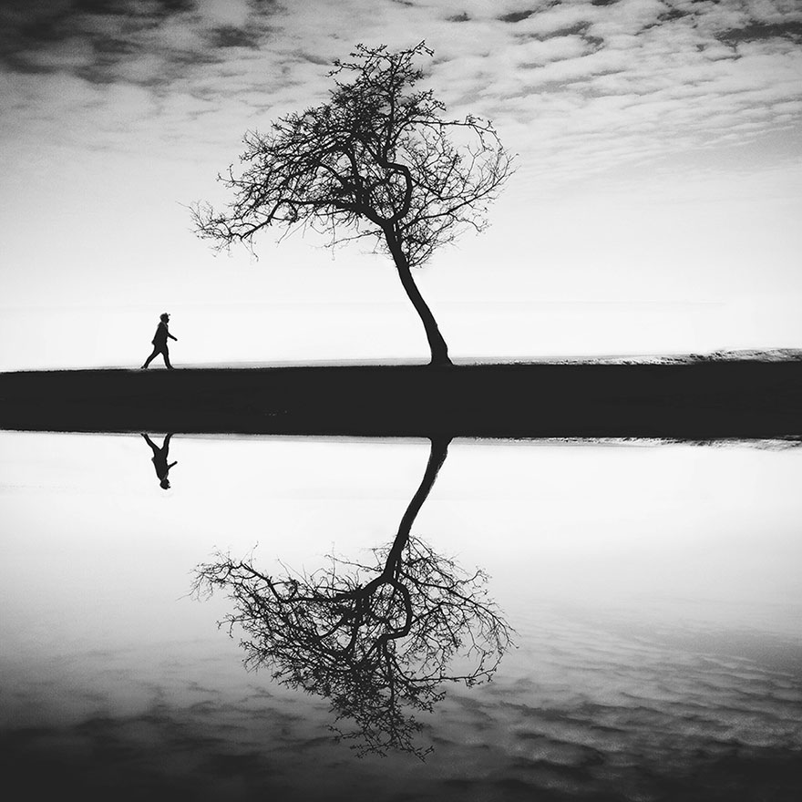 ippawards-iphone-ipad-photography-awards-2014-1y